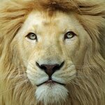 Геннадий *****