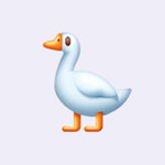 софья ружейникова