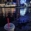Александра Дмитриева