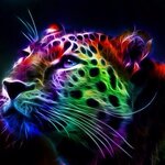 Ольга Соколова