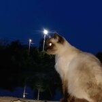 Инна Константиновна