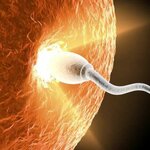 Александр Ткач