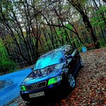 Денис Бронцев