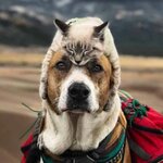 Константин Константин