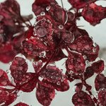 Екатерина Астафьева