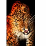 Наталья Строгонова