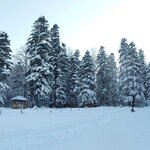 kolyada-maikl