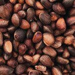 Анастасия Благодарова