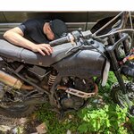 Николай Юрикович