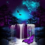 Александр Сенюшко