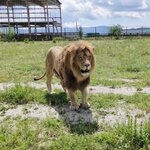 Кристина Дегтерева