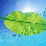 Анастасия Иноземцева