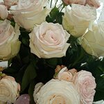 ЛЮДМИЛА ГРИГОРЕНКО