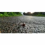 Александр Гаврилов