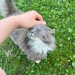 VLADIMIR